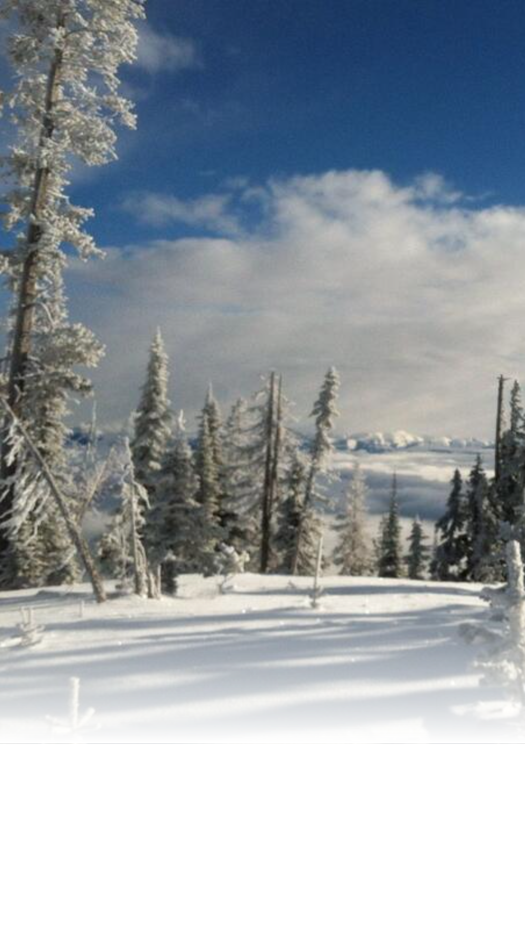 NOAA forecast suggests the upcoming winter season may bring higher temperatures and less precipitation than usual.