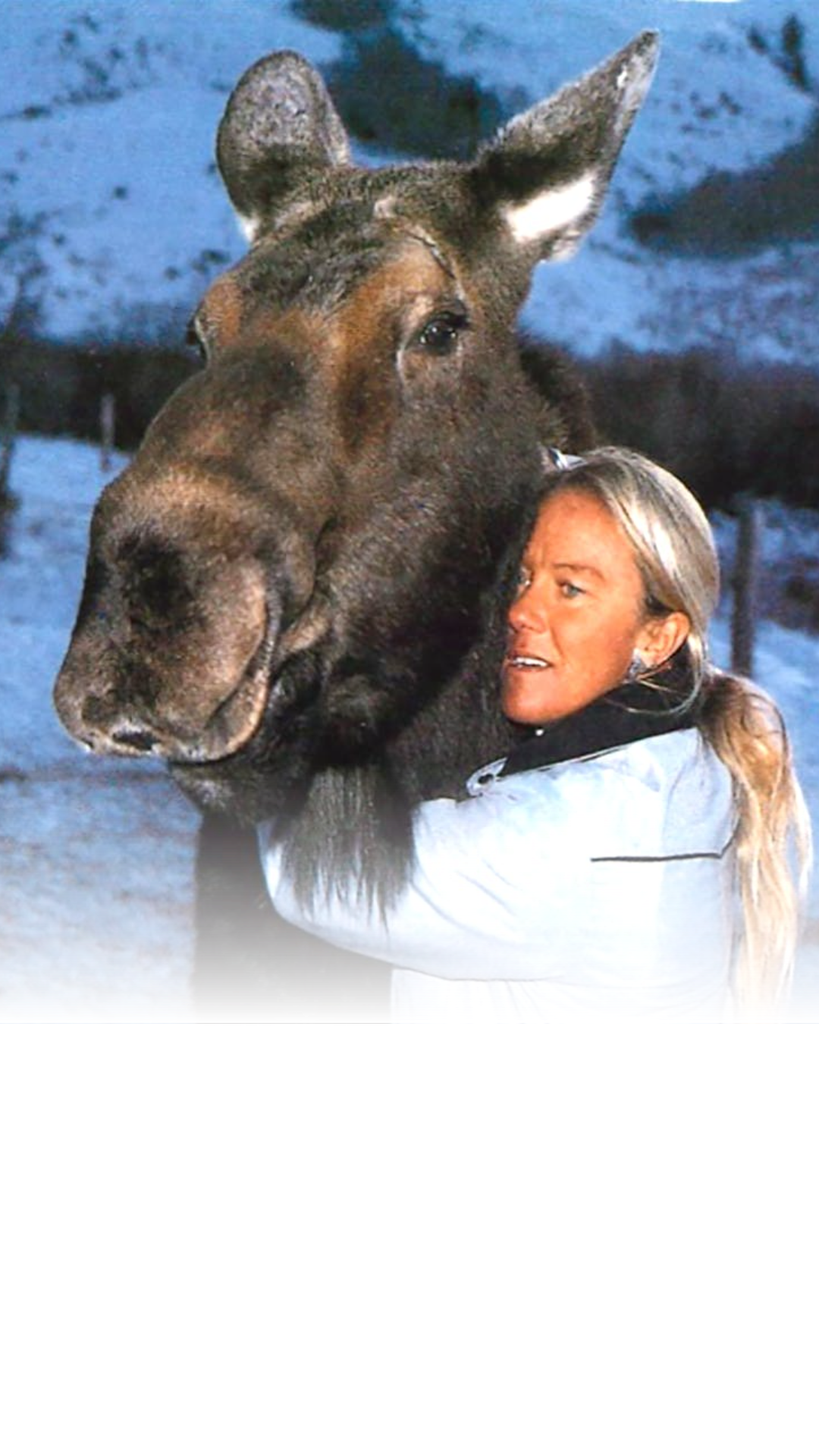 Pamela Chrisman has spent four decades building a bond with moose at her Big Piney ranch. Several generations of the animals return to the property each year to stay near her.