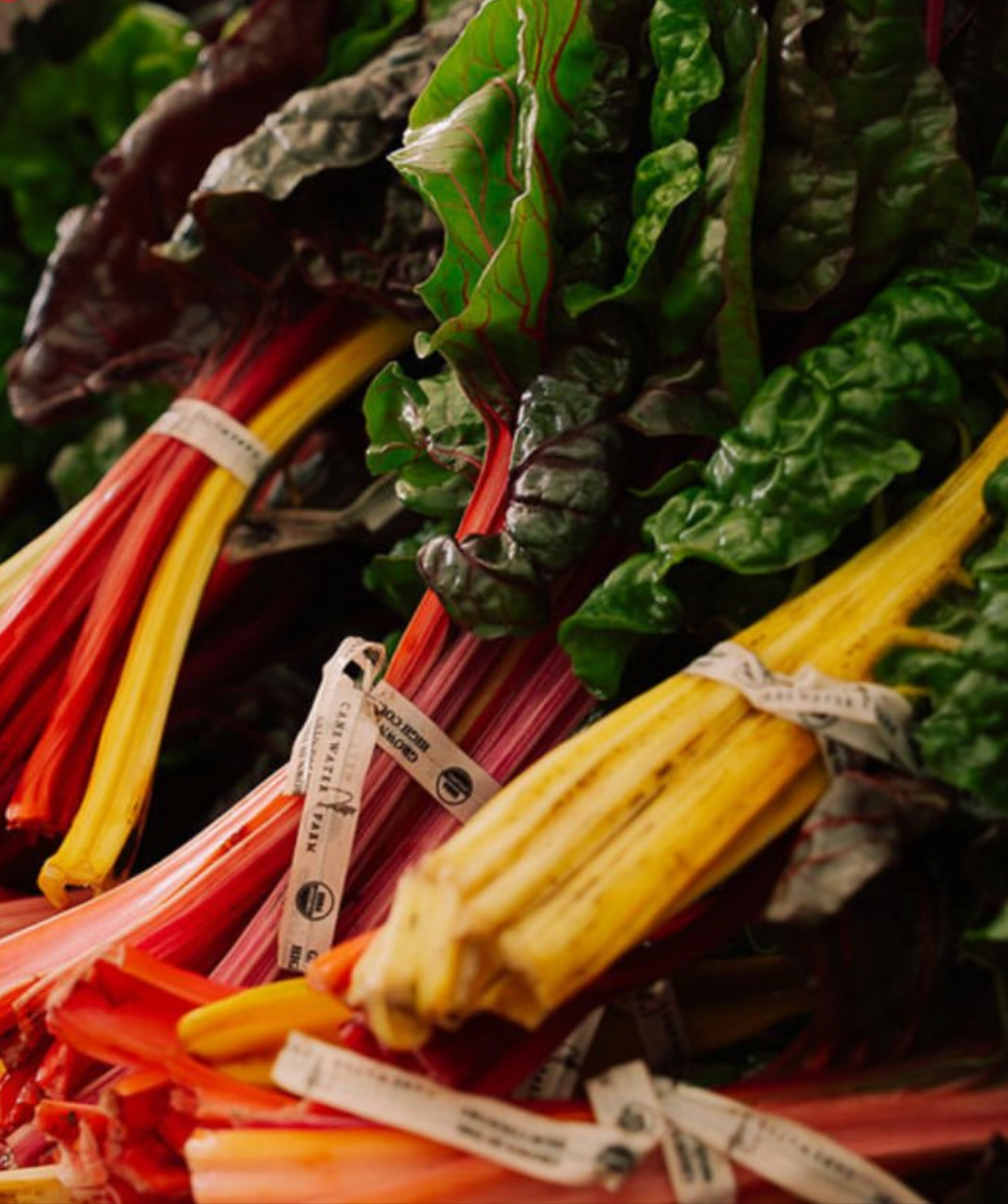 Celebrate food, farms + community this Friday and Saturday at Farm to Fork! Join Slow Food in the Tetons for hands-on workshops and experiences, Rise & Brine pickling event, a food-only Farmers Market, live music, food trucks, herding dog demos, kids’ activities + more. Come hungry, learn something new + make a day of it! Learn more + grab tickets 👇