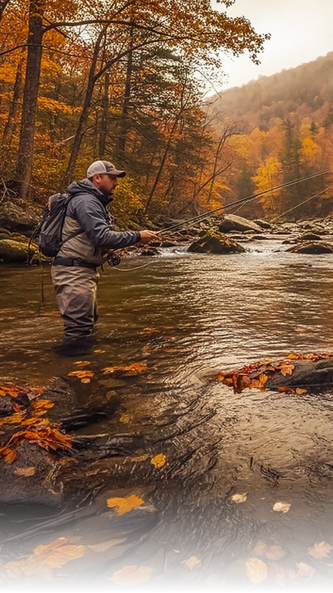 Jackson Hole Fly Company released a guide on using autumn leaf patterns to identify river currents. Understanding where debris gathers helps anglers find clear water to cast for trout.