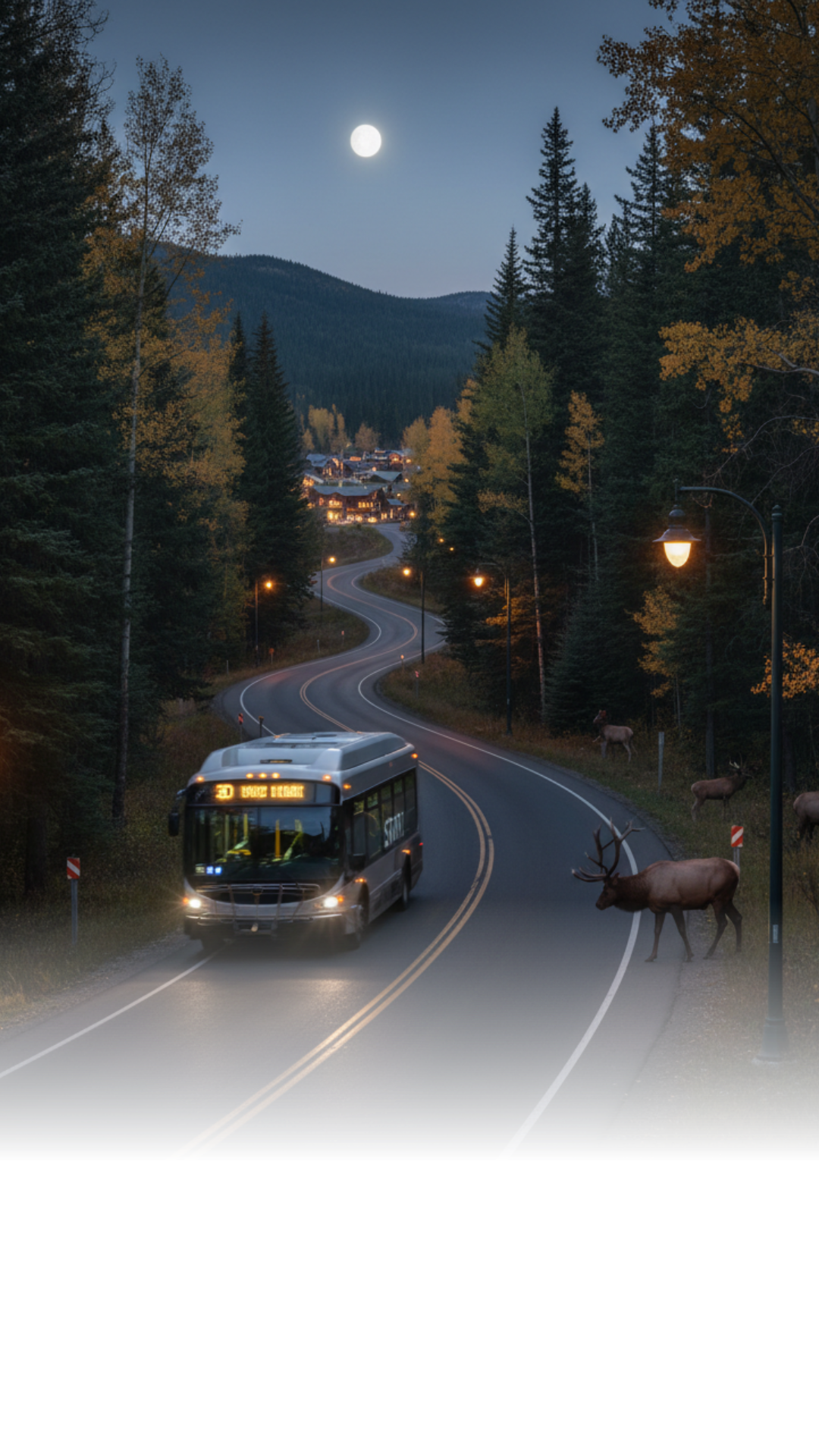 START drivers will slow to 30 mph on the road to the Village during overnight and evening hours. The change aims to protect wildlife and passengers during the rut.