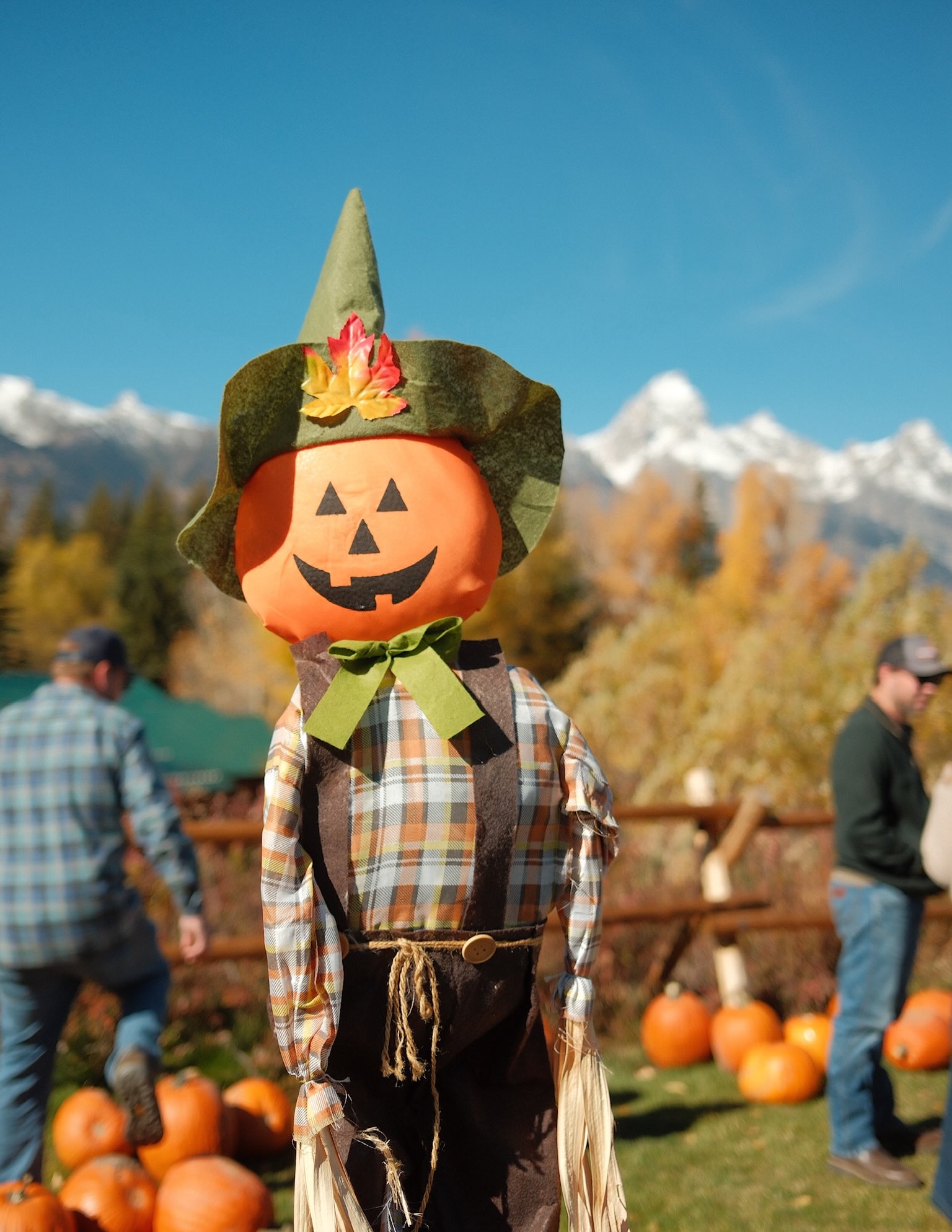 Dornans will again host a pumpkin patch October 10 featuring carving, food, and activities. All money raised supports the Moose Corner Children’s Academy. Pets are not allowed.