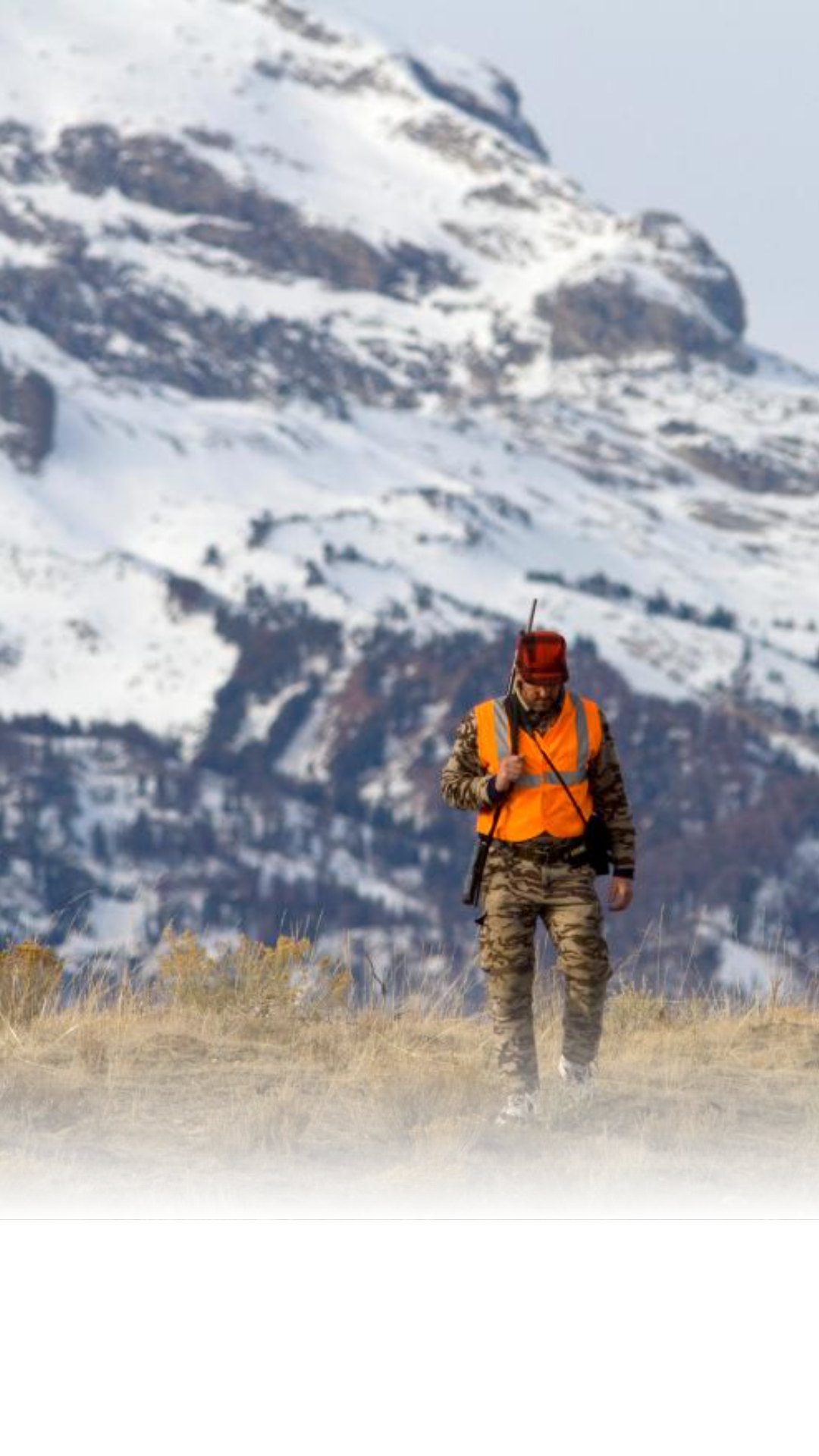 Wyoming Game and Fish ask hunters to avoid harvesting collared game this Fall. State biologists are tracking big game movement and health via collars this fall. Hunters are allowed to harvest these animals but should return the tracking hardware to officials.