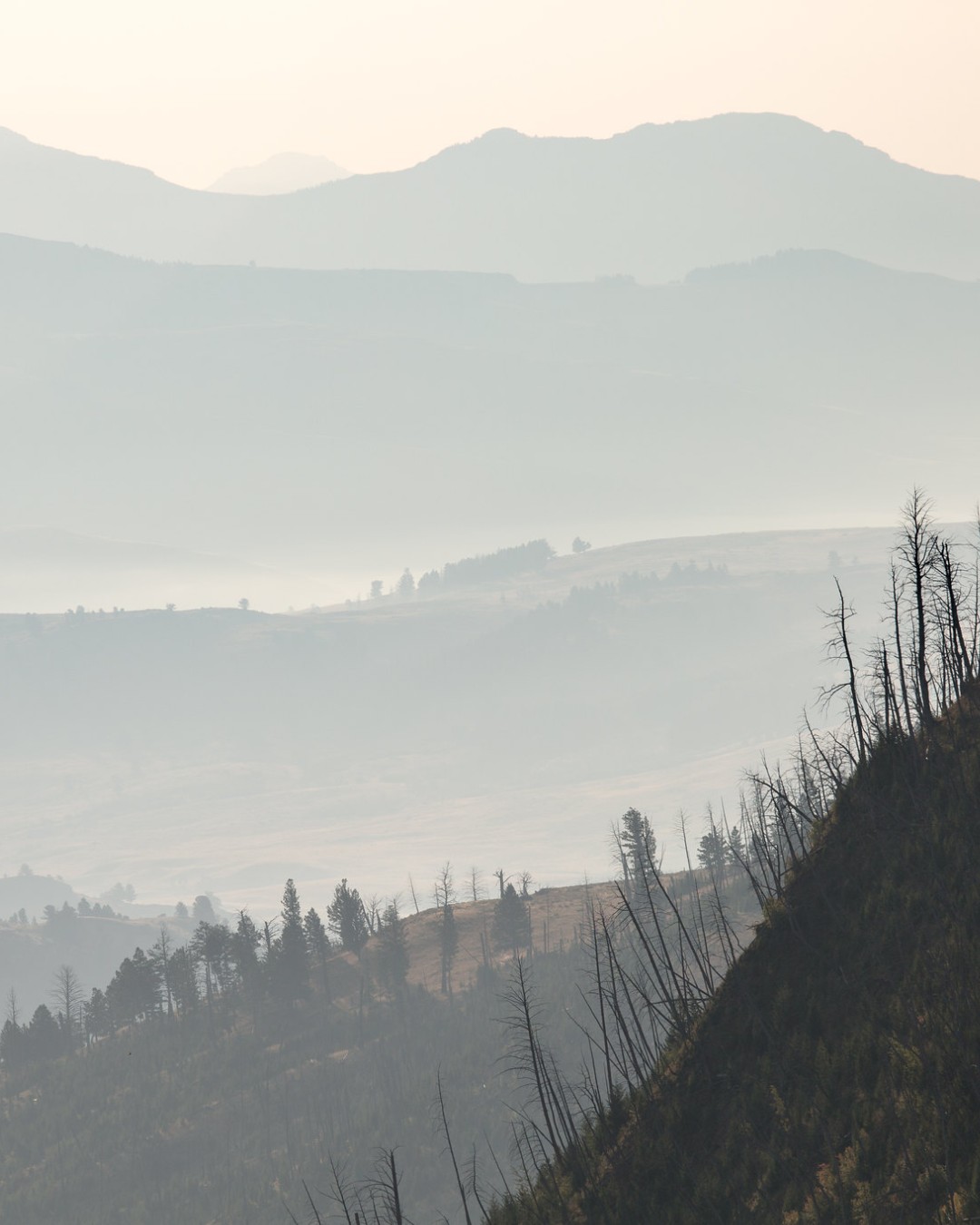 Smoke from distant wildfires is drifting into the park, causing poor air quality in northern and western areas. Conditions are expected to remain hazy through tomorrow.