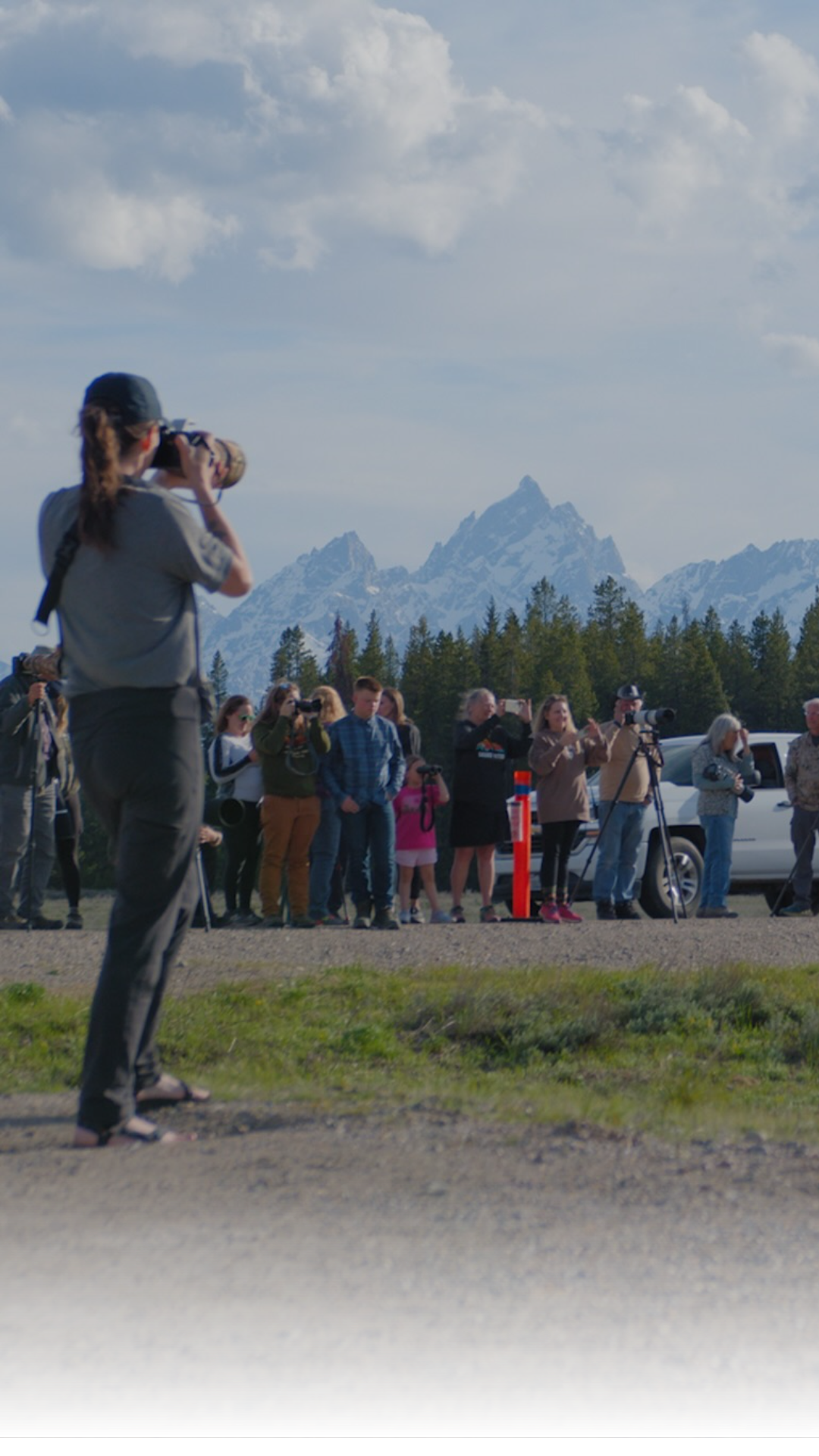 Forever 399 premieres on Amazon Prime Video on October 16. The new documentary chronicles the life and local impact of Grizzly 399.