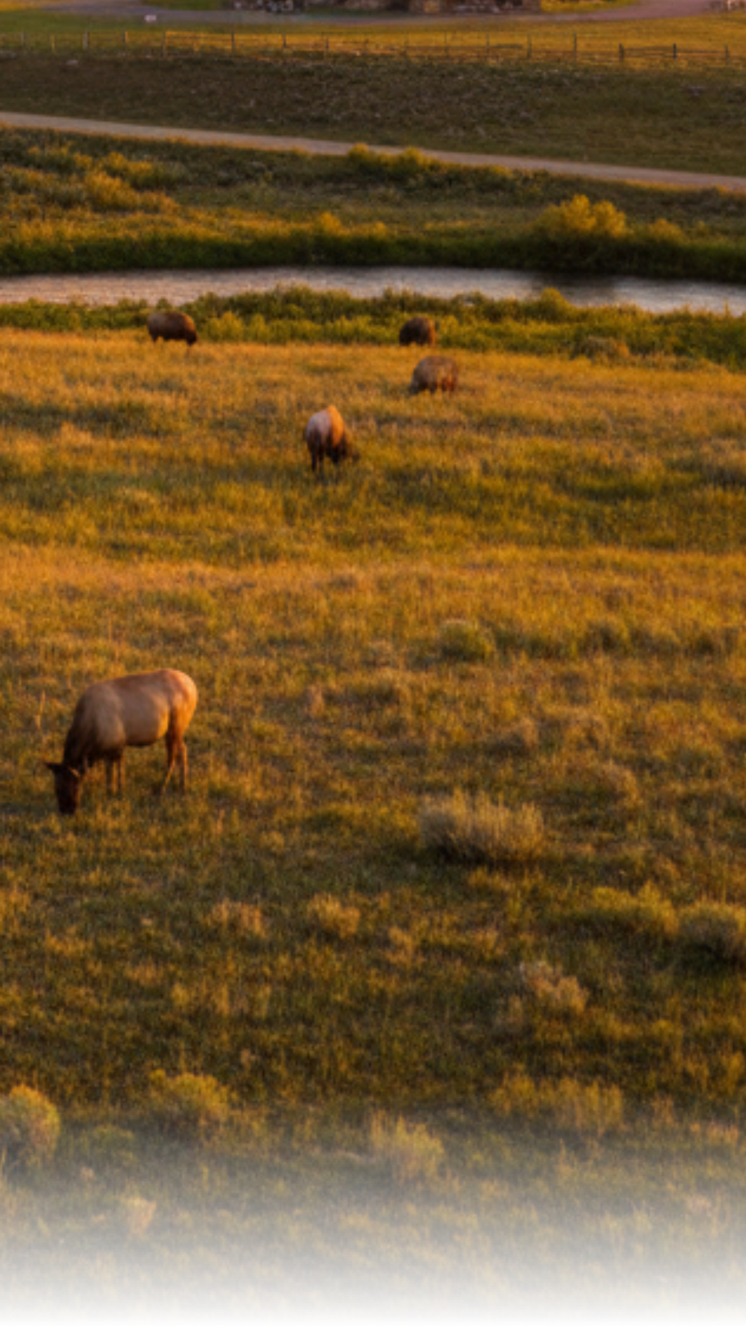 The U.S. Fish and Wildlife Service released a draft environmental impact statement for an updated bison and elk management plan at the National Elk Refuge. The plan outlines strategies for managing wildlife, habitat, and public access, and is open for public review and comment until October 13, 2026.
