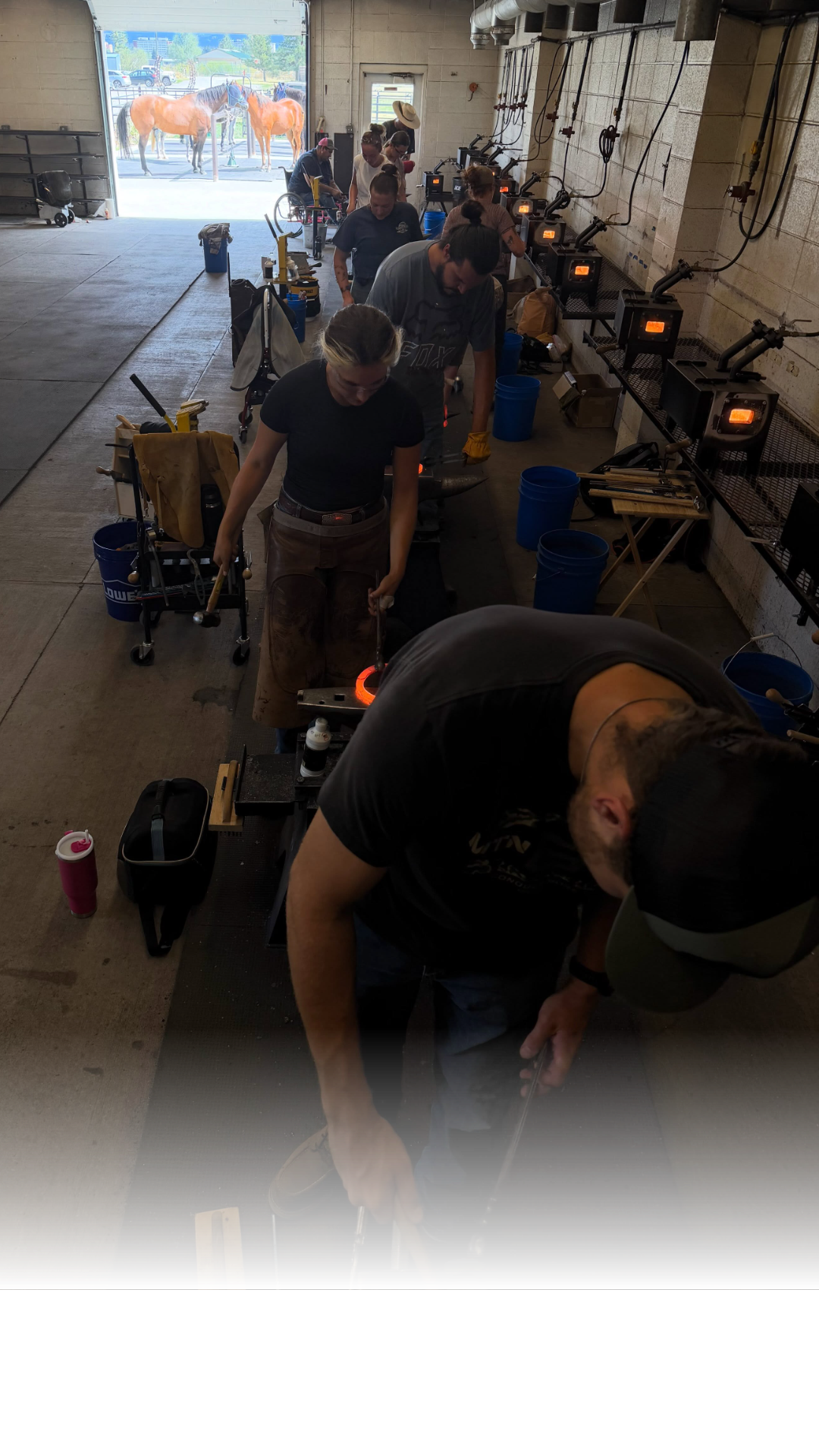 The new class at MSU Farrier School finished its first week of training. Students practiced trimming, shoeing, and forging as they begin the eleven-week program.