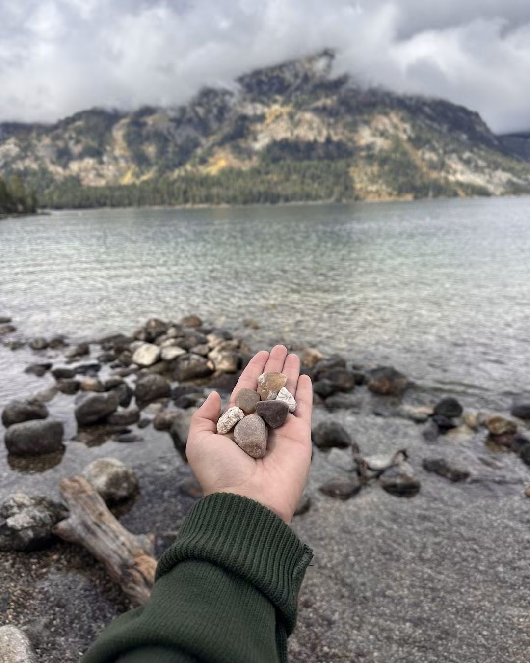 Someone sent a letter to the park with a few rocks they'd pocketed at Jenny Lake, deciding souvenirs weren't theirs to keep. Taking anything from Grand Teton is illegal — leave what you find.