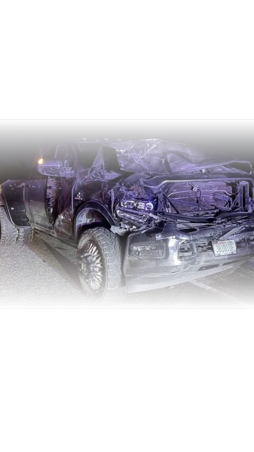 A couple employed by the park share story of totalling their vehicle after hitting a bison on the road last week.