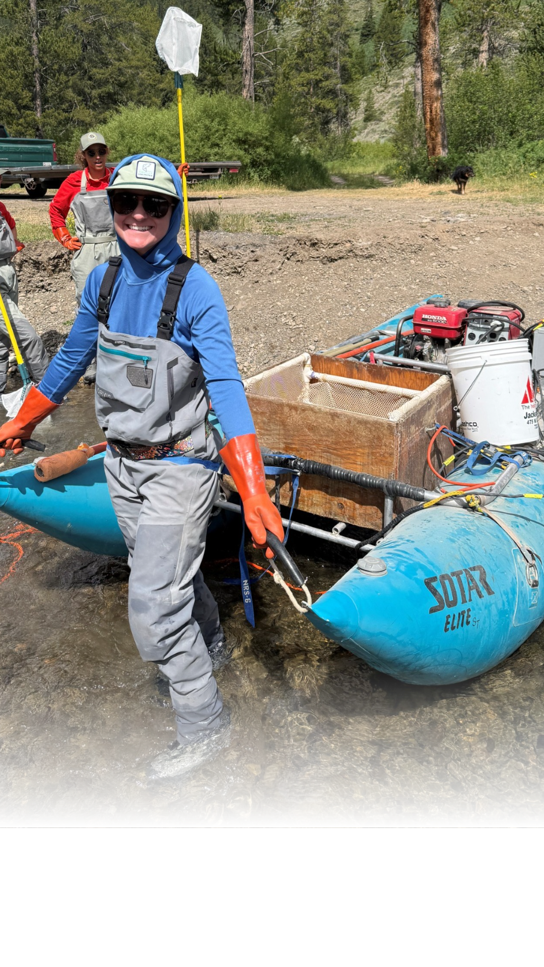 Jackson Hole Trout Unlimited is funding and assisting a Wyoming Game and Fish study on Snake River cutthroat trout. The research aims to identify why adult fish populations are declining in the Little Greys River drainage.