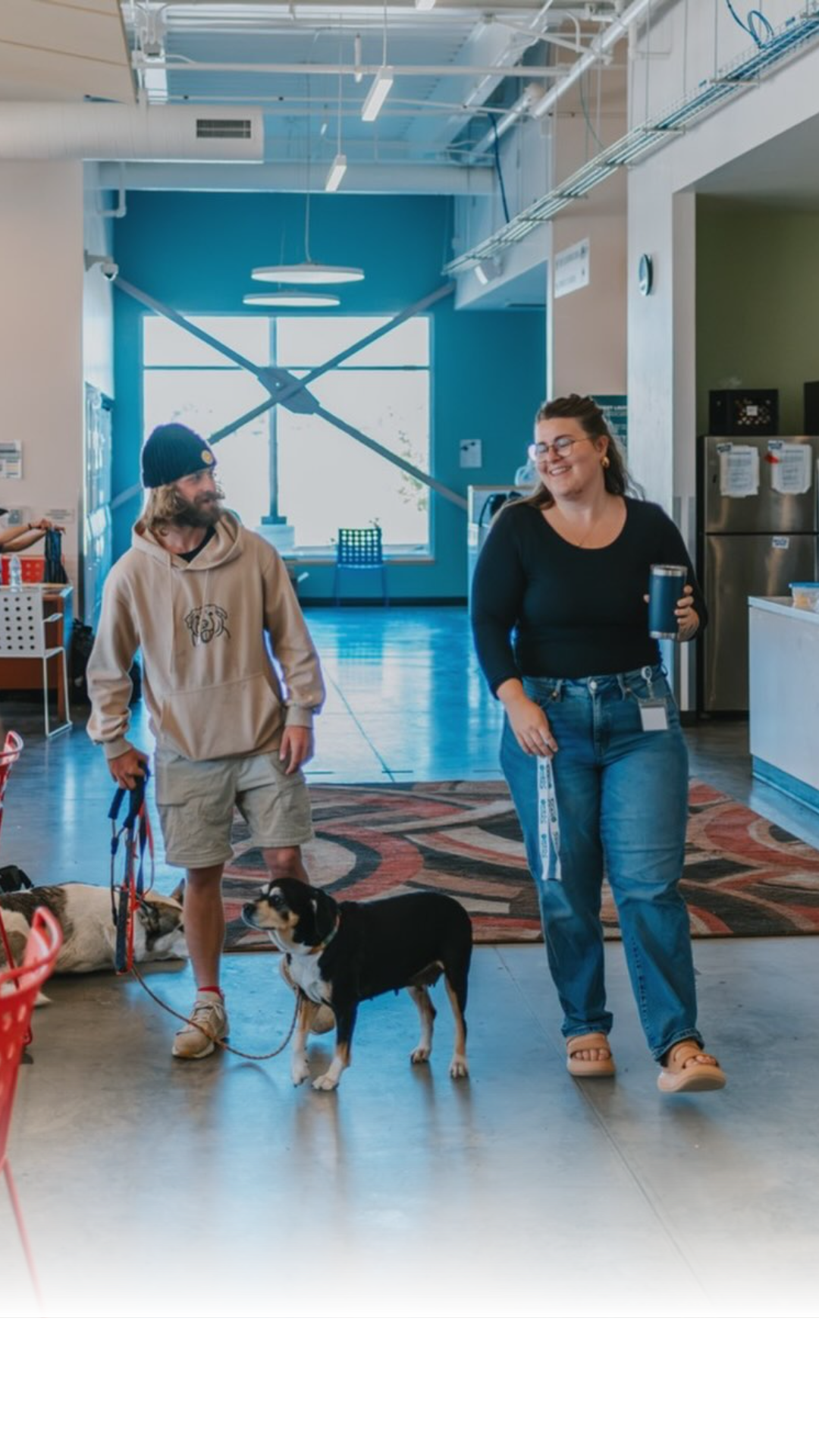 Recent data from Bozeman shows a 25% drop in the unhoused population, with the annual tally falling to 394 individuals. Officials attribute the decline to expanded local housing and support services.