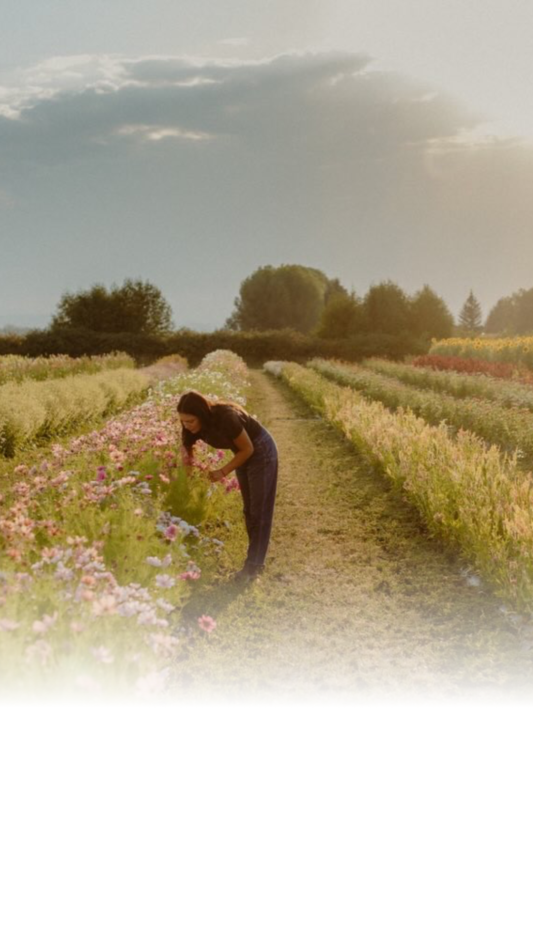 @4daughtersfarmmt is a family-run farm on an original dairy homestead outside Bozeman, creating a place for the community to slow down, connect to the land, and enjoy the beauty of its flower fields.