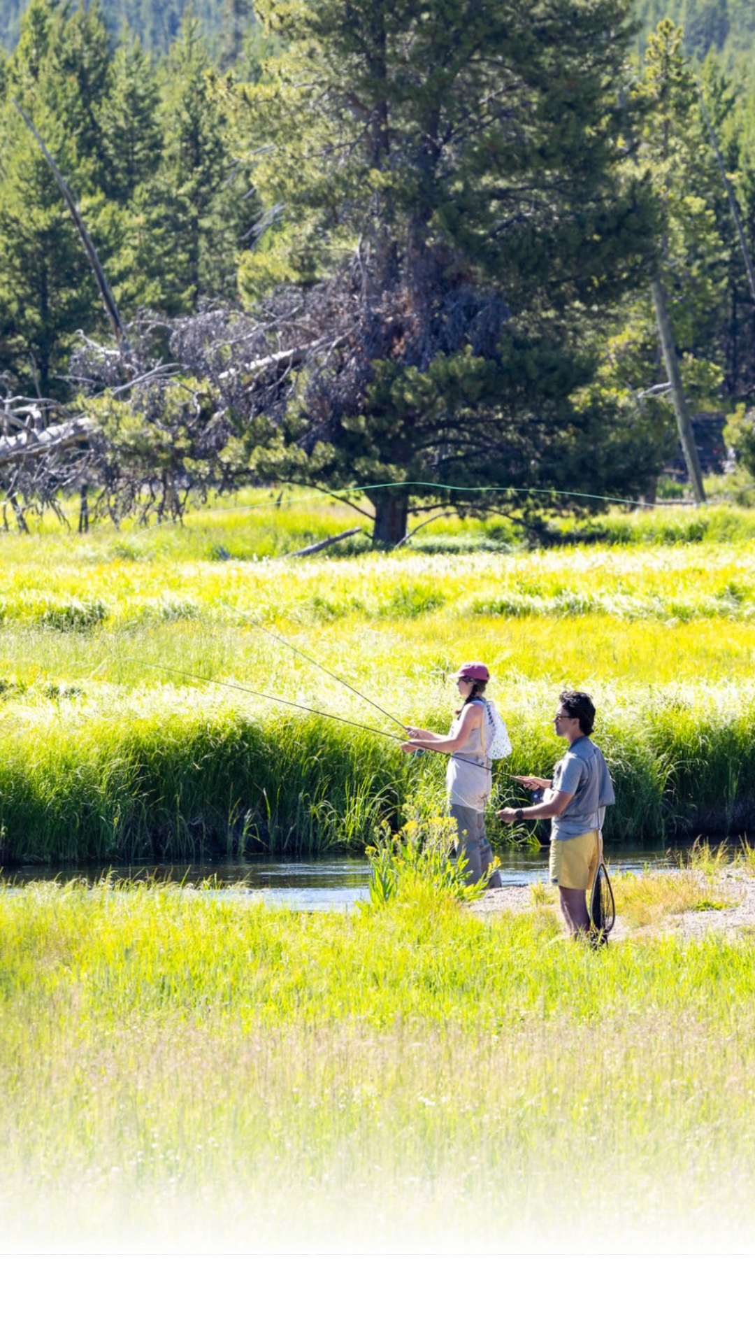 Yellowstone National Park reopened the Firehole, Madison, and Gibbon rivers to fishing during morning hours. Anglers may use these waters from sunrise until 2 p.m. while afternoons remain closed to protect fish from heat.