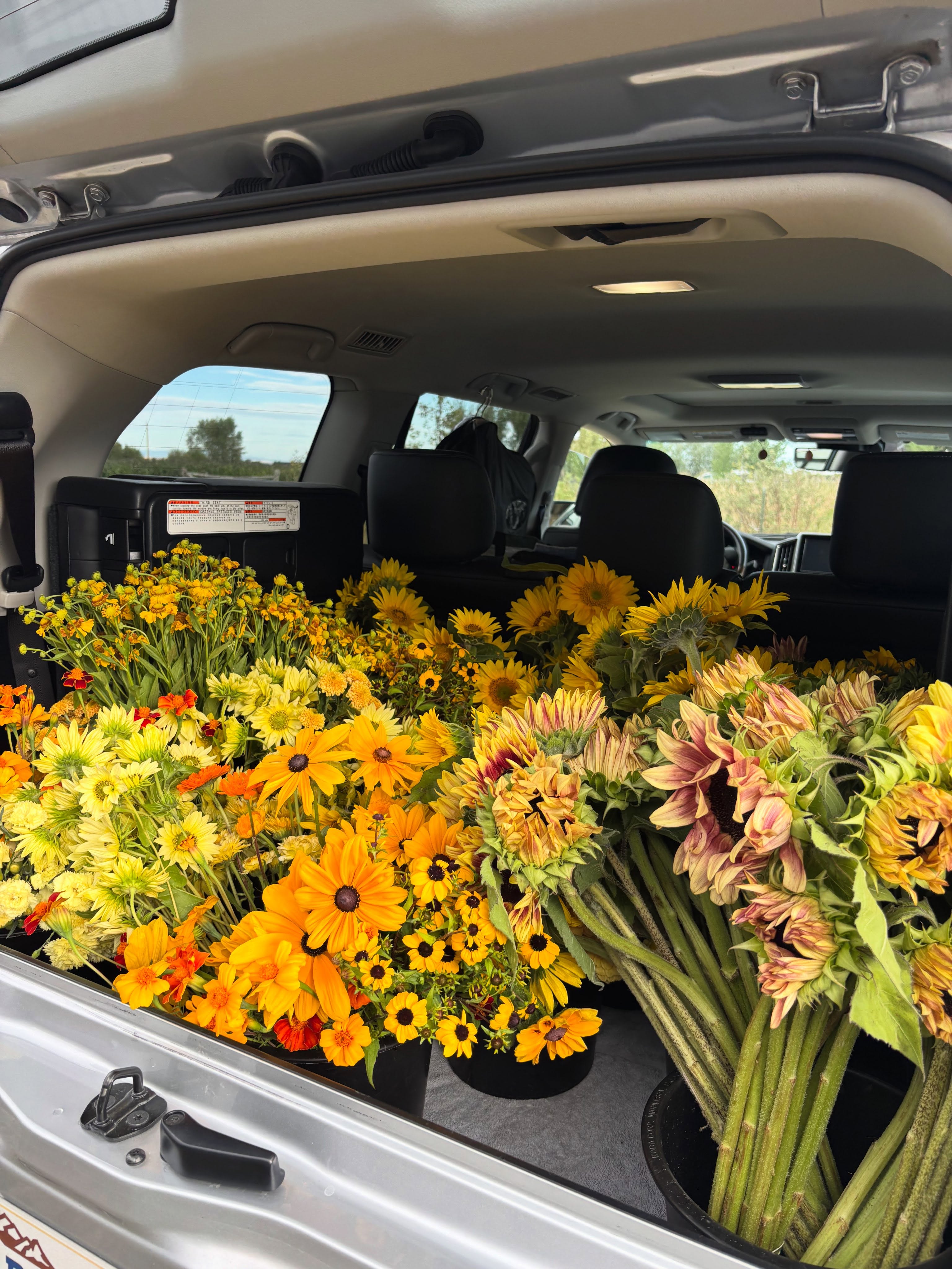 Four Daughters Farm ends its flower picking for the year and will close the farm shop on September 20. Raspberry picking remains open until the first hard frost, and the fall market is scheduled for October 3 and 4.
