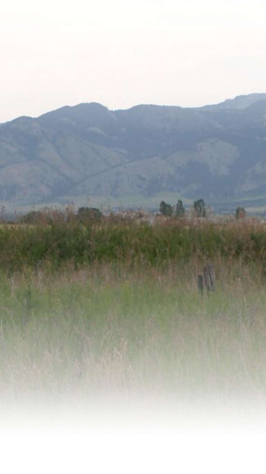Bozeman officials are organizing development strategies for a 3,000-acre tract on the city's northwest border to manage anticipated population expansion.