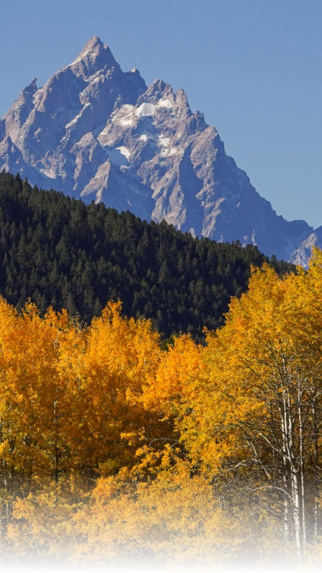 Grand Teton National Park is beginning its shift to winter operations. Most campgrounds and facilities are closing for the season, though Teton Park Road will be groomed for skiing and snowshoeing starting in mid-December.