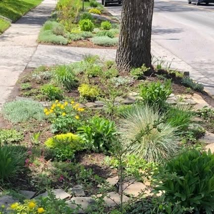 Planting drought tolerant plants? Taking out turf? Check out the Water Conservation Division's outdoor rebates*. Plant a minimum of five drought tolerant species and receive up to $250 per fiscal year!