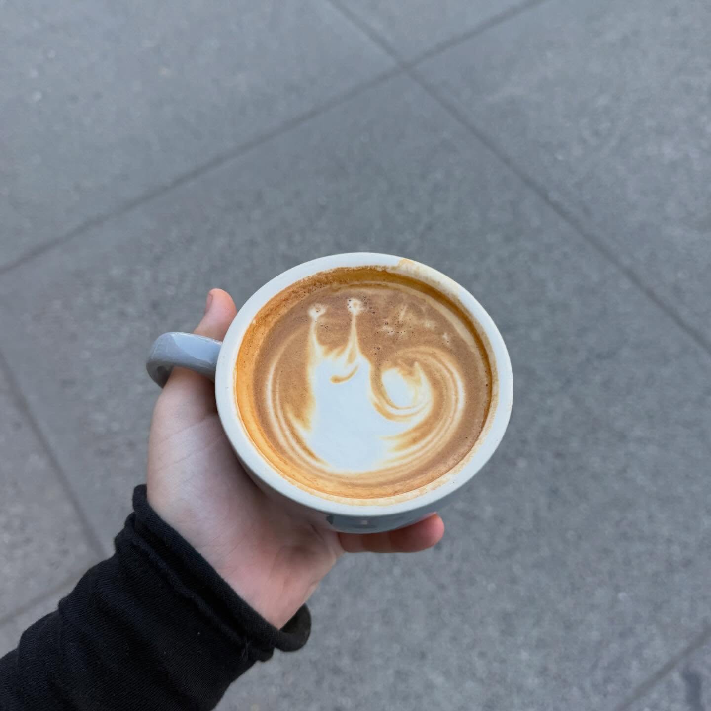 Feeling slow today? Come grab a pick me up!🐌☕️ Open everyday from 6:30am-6:00pm! #coffeeroasters #latteart #barista #bozeman #downtownbozeman