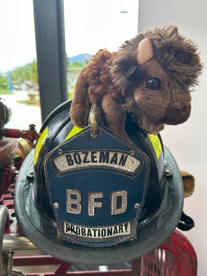 Wildfire season in Montana is just around the corner. Burn-ie the Bison is here to remind you to plan, prepare, and prevent this Wildfire Awareness Month.