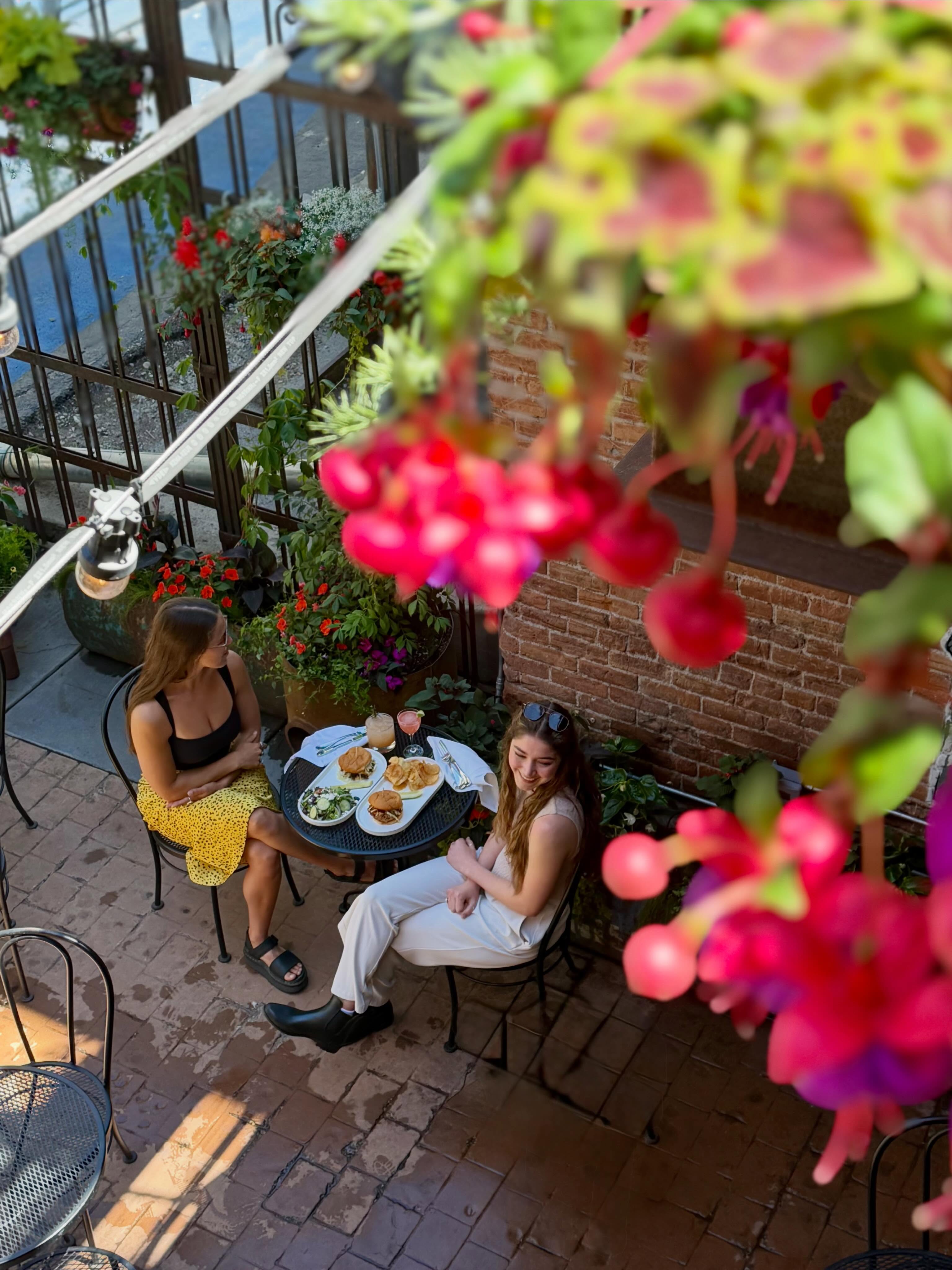 Plonk Summer is in full bloom! 🌸🧚🏻 Cocktails and lunch on the patio anyone? Lunch: Wednesday-Sunday 11:30-3:00 Happy Hour: Everyday 3:00-5:00 Dinner: Everyday 5:00-11:00